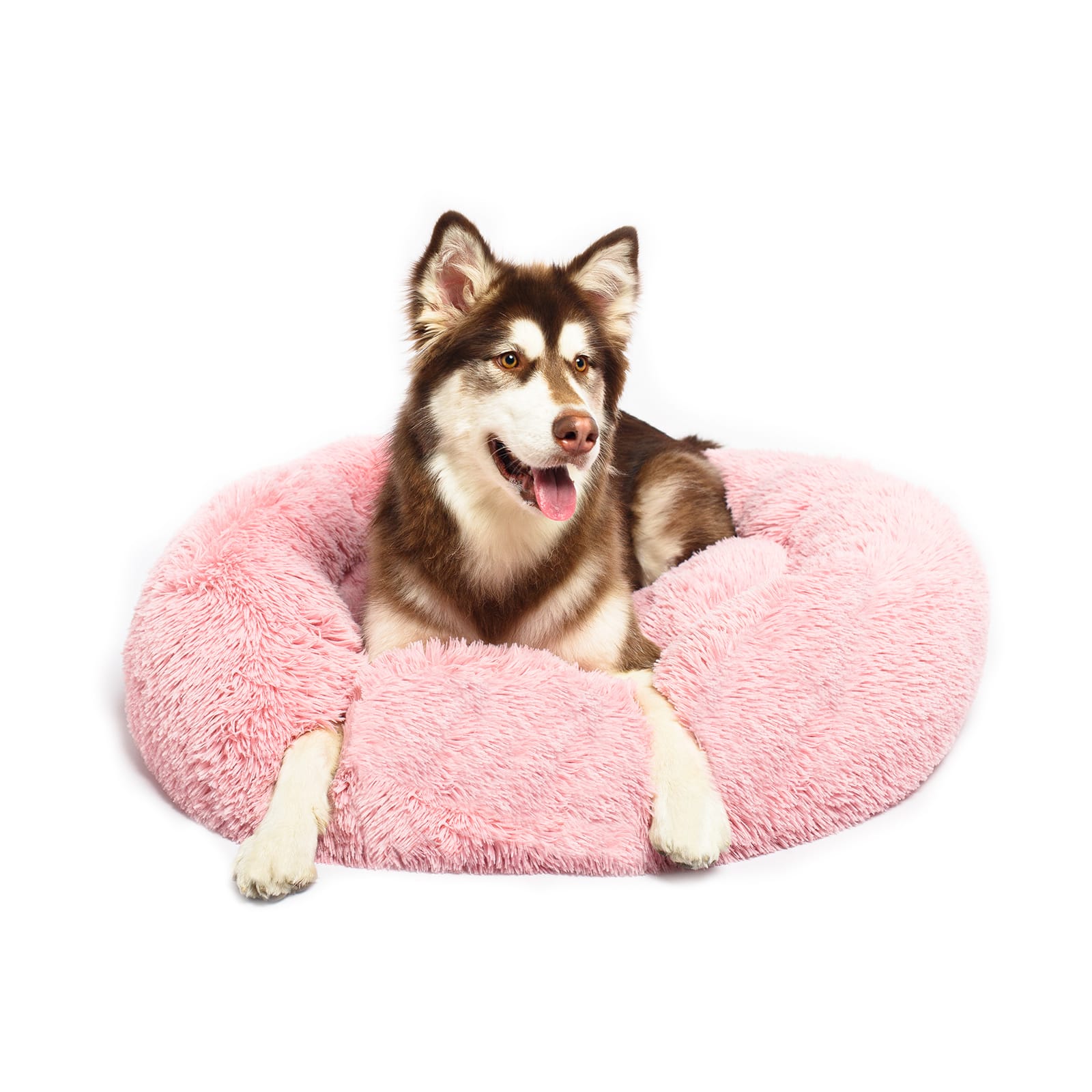 Calming dog shop bed canada